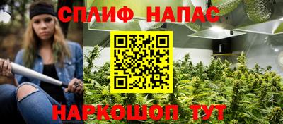 мет Дубна